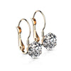 Rose Gold Cubic Zirconia Crystal Drop Earrings Stainless Steel Right View